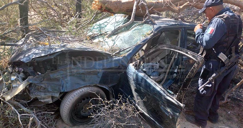 R Cord De Accidentes Viales Registra La Paz Al Inicio De Vacaciones De