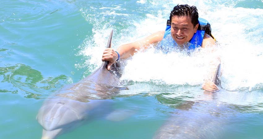 Asegura Dolphin Discovery Los Cabos, que encierro de los mamíferos fue apegado a la ley