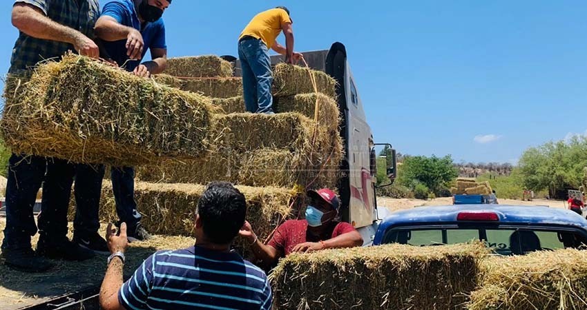 Oscar Leggs beneficia a más de 180 familias ganaderas