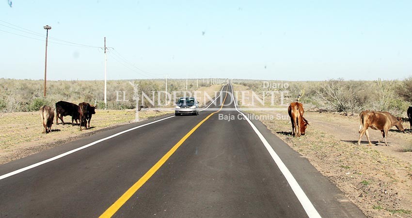 Plantea gobierno de BCS proyectos carreteros de beneficio a las comunidades