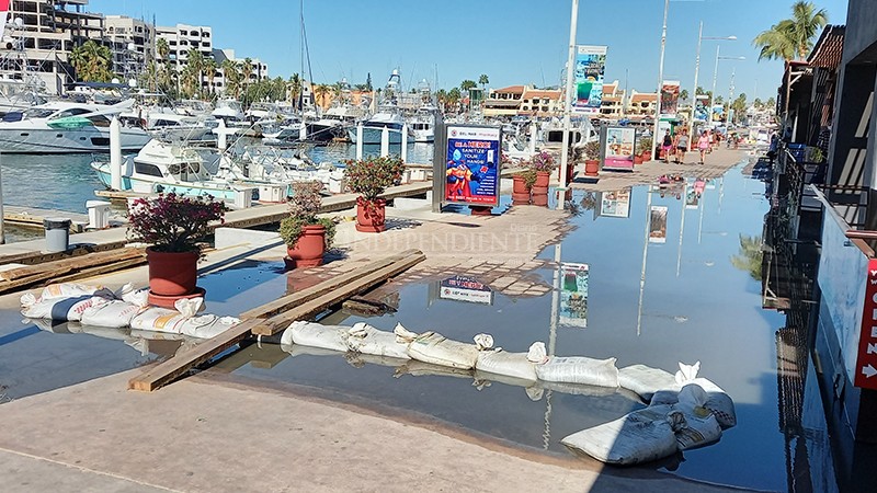 “El centro de CSL no es prioridad para el Ayuntamiento de Los Cabos”: Empresarios