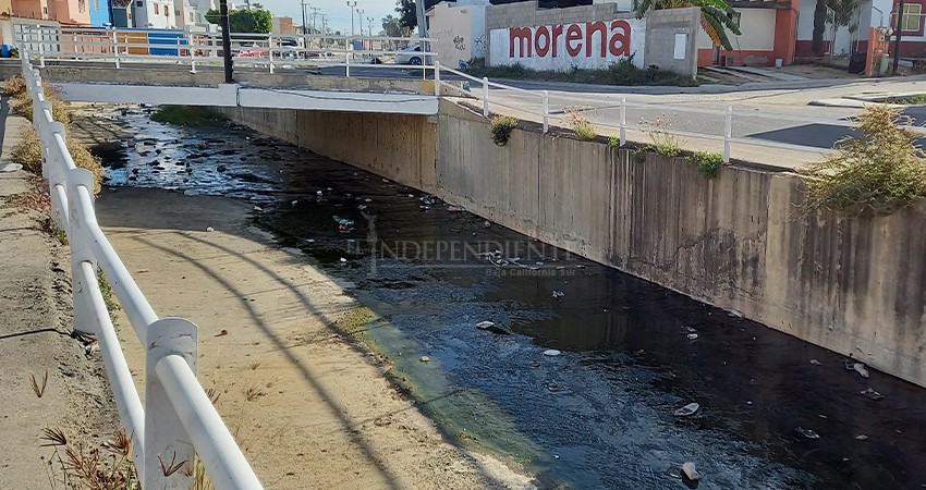 “Los Cabos tiene un gobierno que da pena”: PAN 