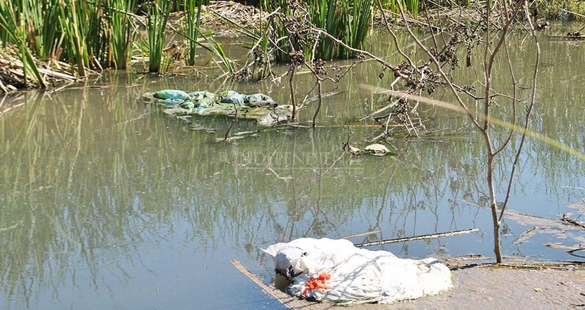 Irresponsabilidad ciudadana desploma esfuerzos por recuperación del estero