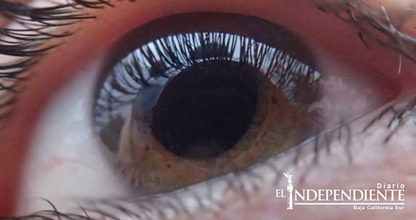 Un 80 De Casos De Glaucoma Son Previsibles Y Evitables Unam Diario El Independiente 3145