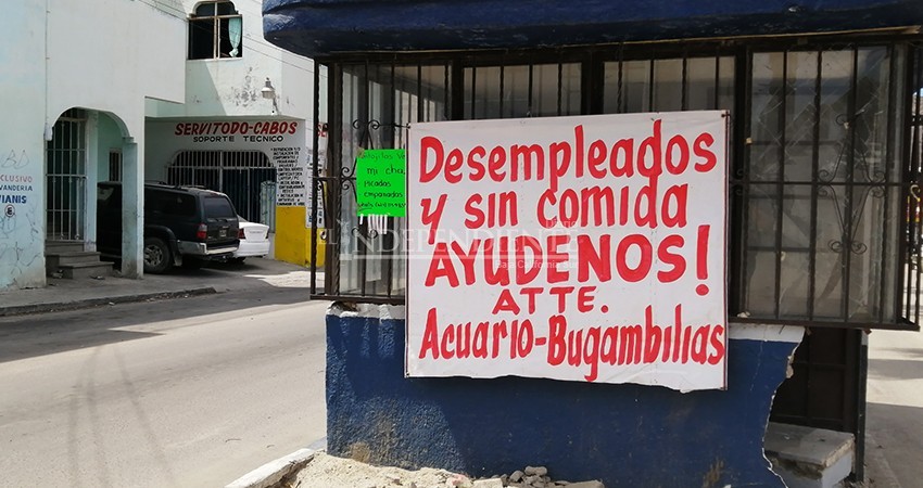 Desempleados y sin comida, ¡Ayúdenos!”; Vecinos de Acuario y Bugambilias en  CSL | Diario El Independiente