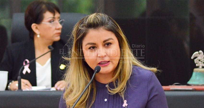 Diputada Del Ph Pierde Ante Tepjf No Podrá Ser Plurinominal Del Pan Diario El Independiente