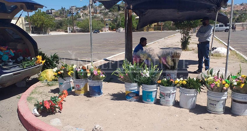 Negocio Redondo Vende Flores En El Panteón Luego Se Las Roba Para Revenderlas Diario El 2551