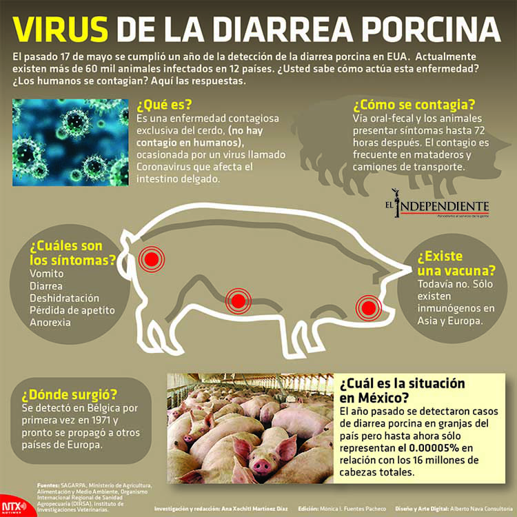 Virus de la diarrea porcina