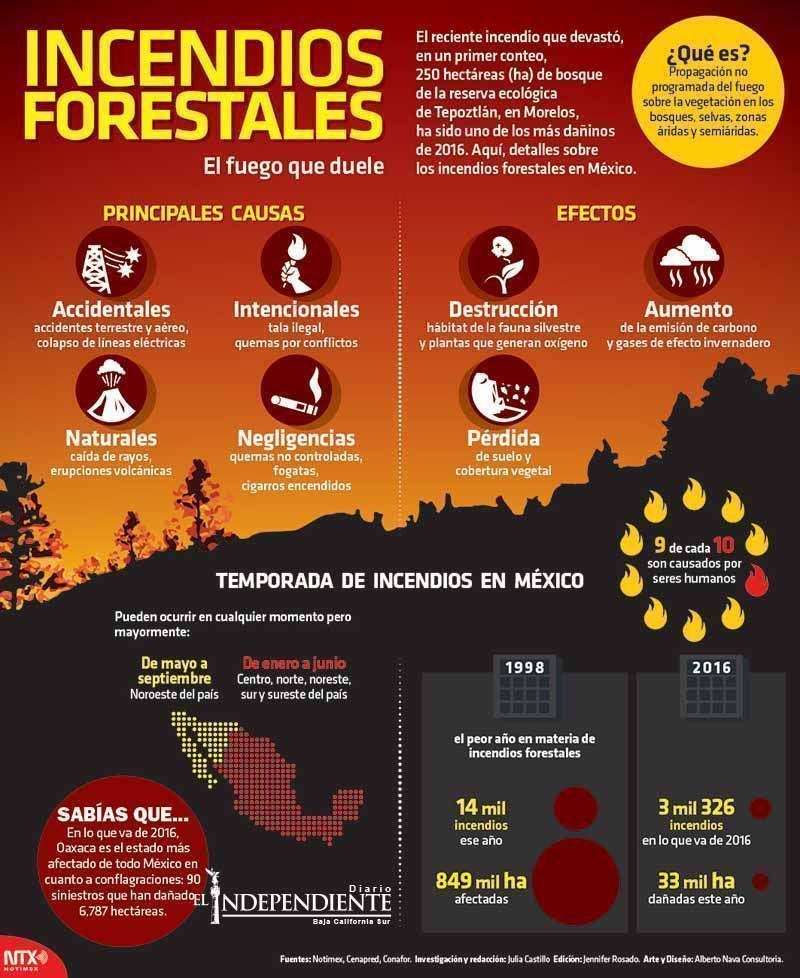 Incendiso forestales copia