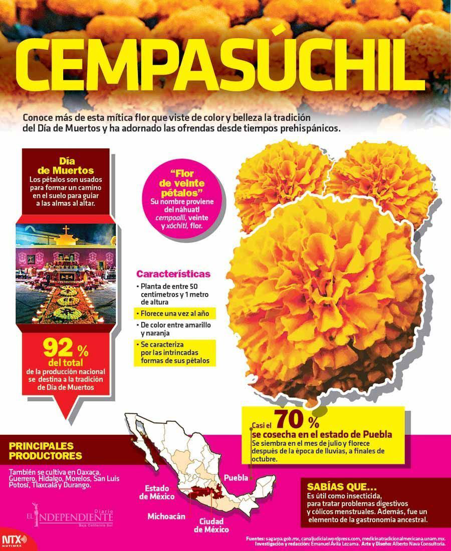 Cempasuchil