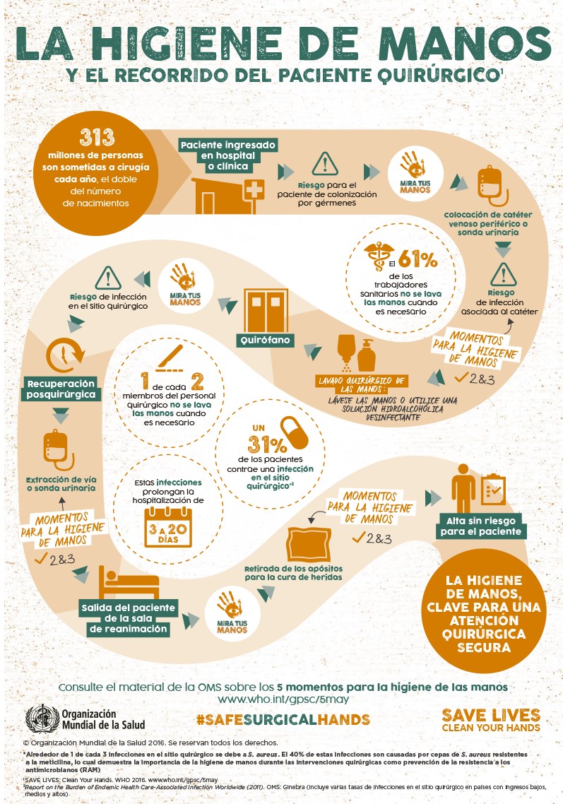 Higiene en las Manos