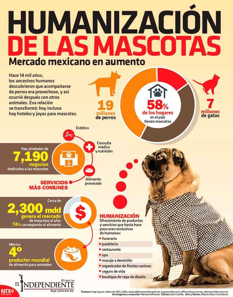Humanización de las mascotas