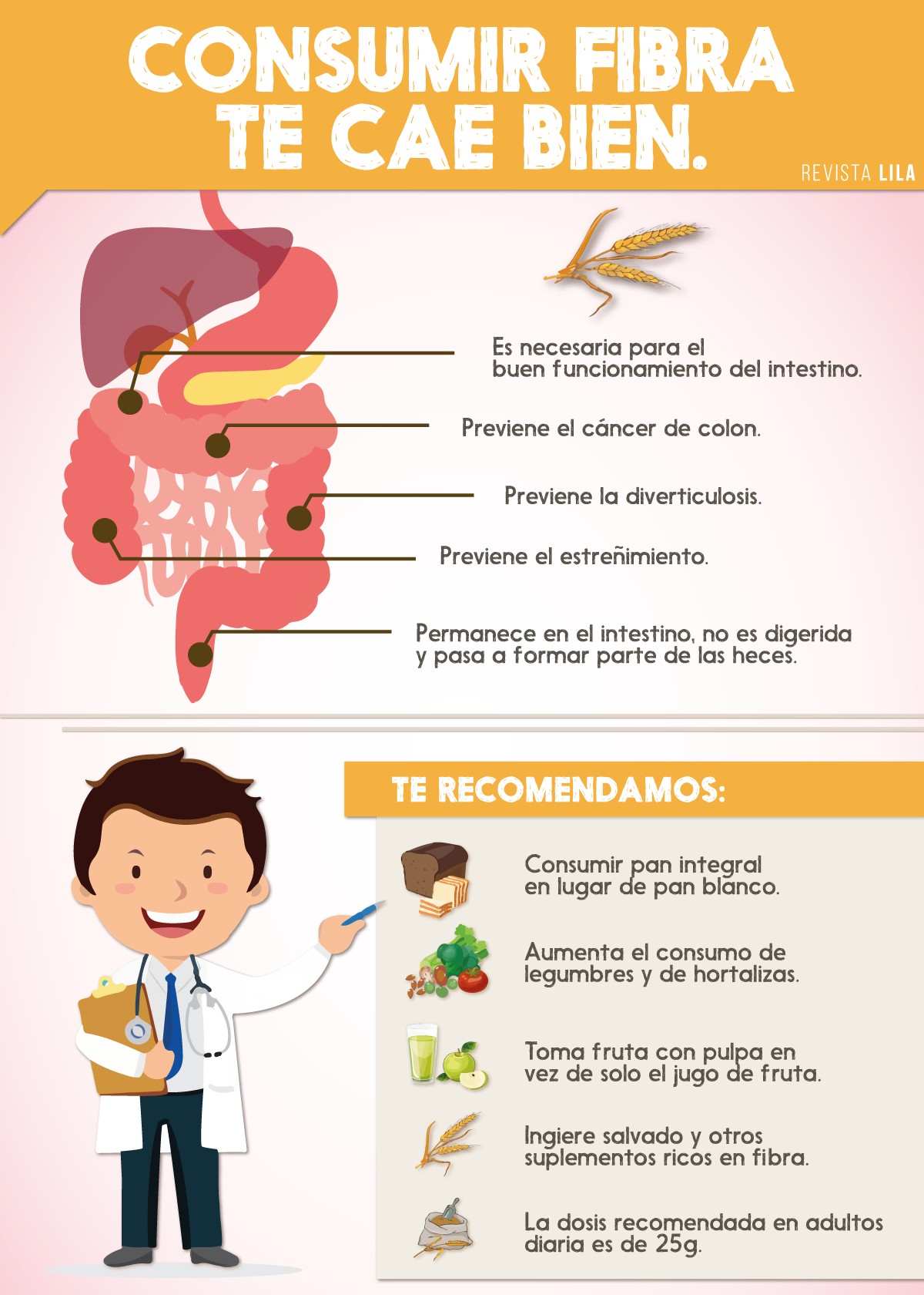 CONSUMIR FIBRA TE CAE BIEN