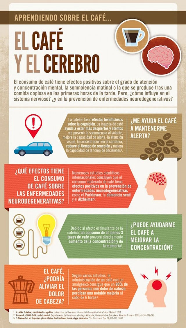 el cafe y el cerebro