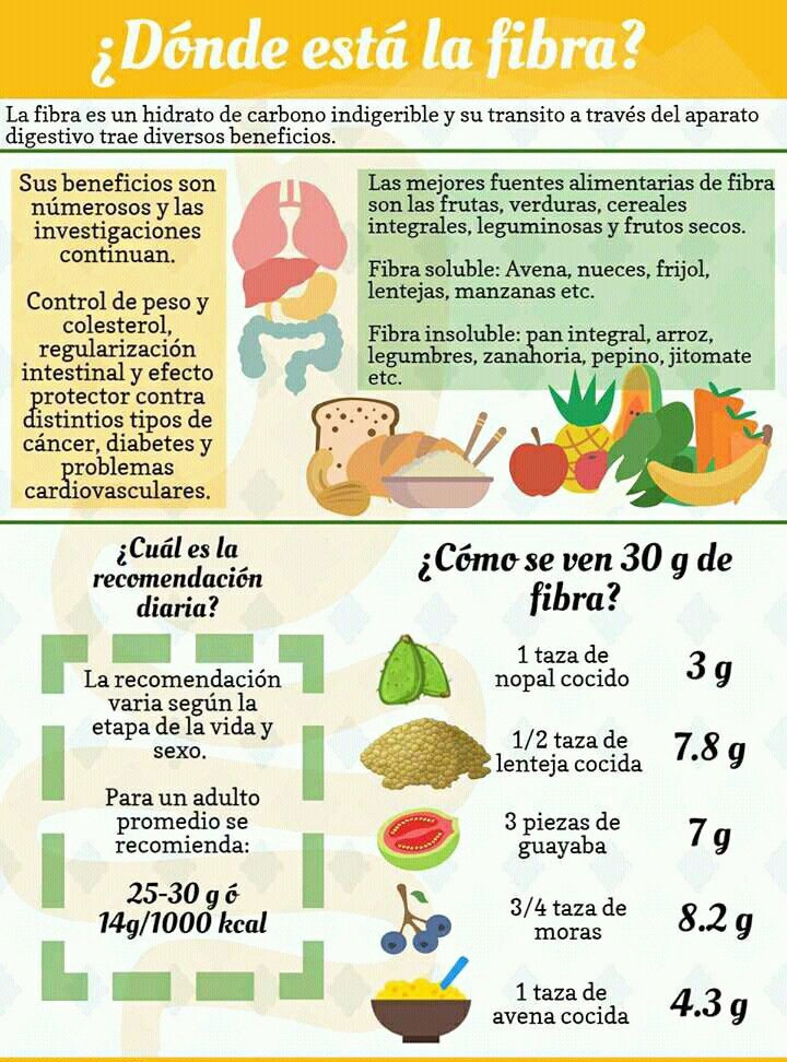 ¿Dónde esta la fibra?