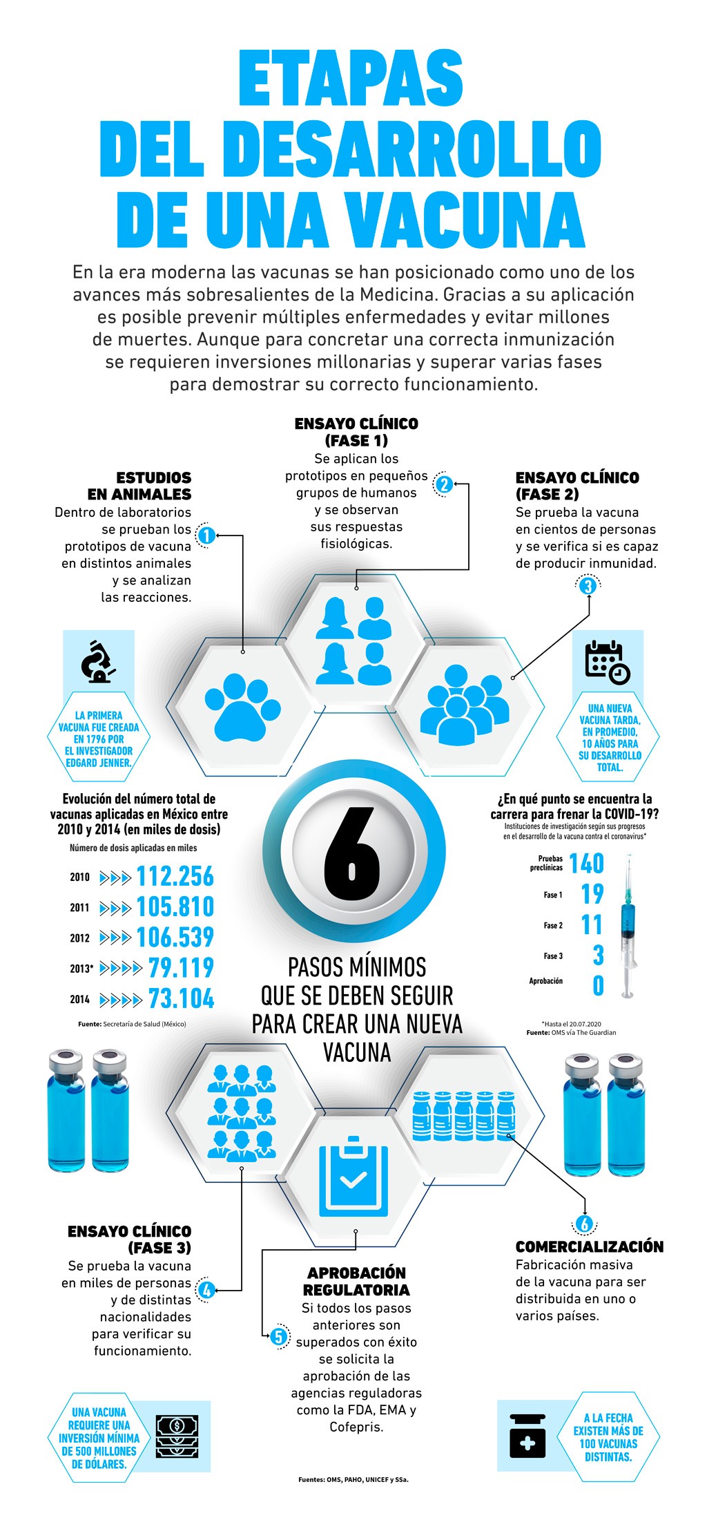 Etapas del desarrollo