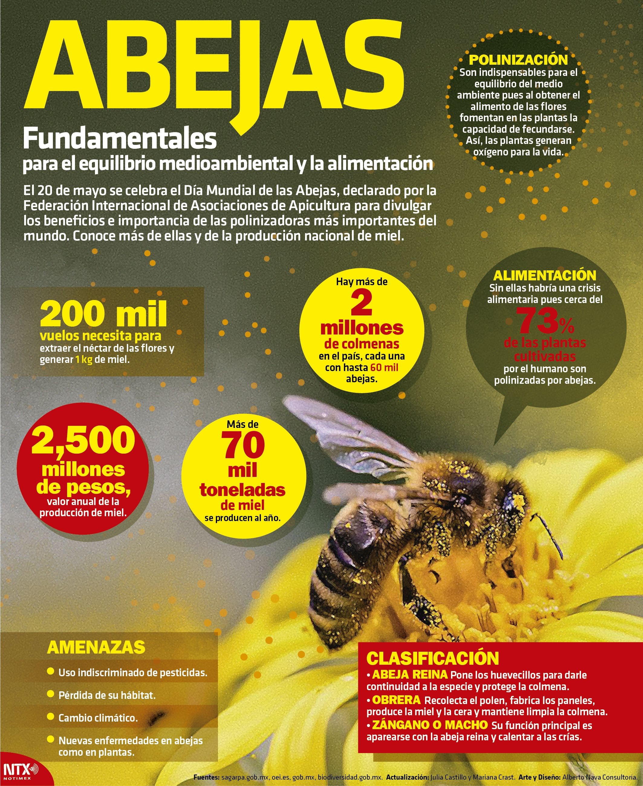 ABEJAS
