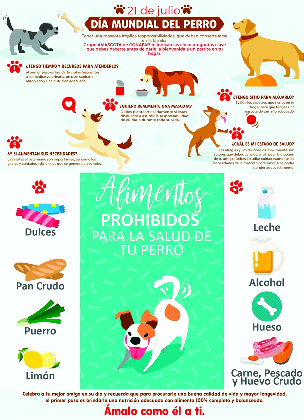 Dia mundial del perro