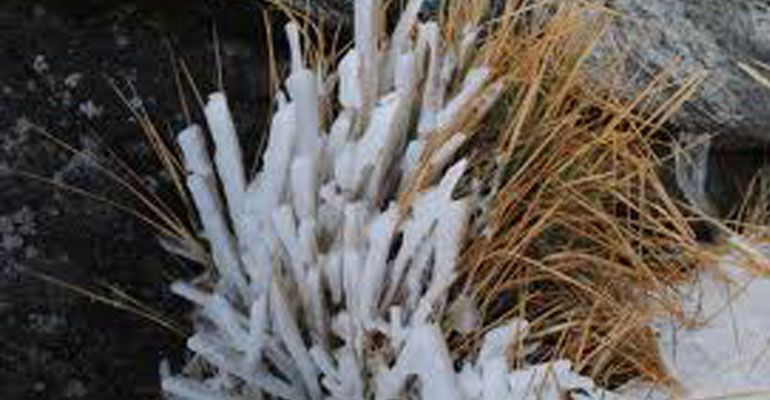 Drástico descenso en temperaturas en BCS