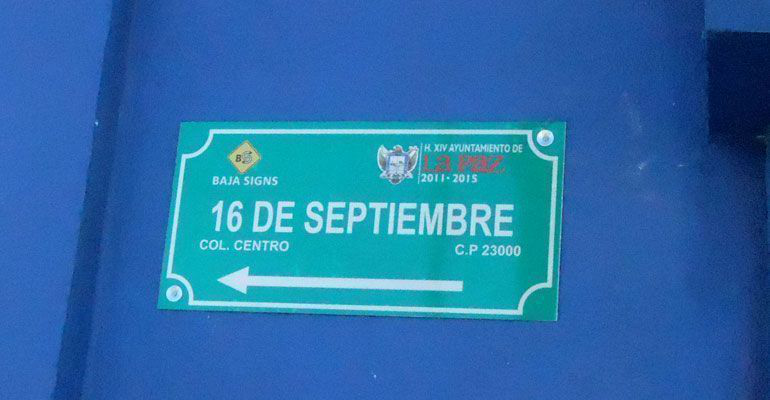 Importantes avances en el programa de nomenclaturas