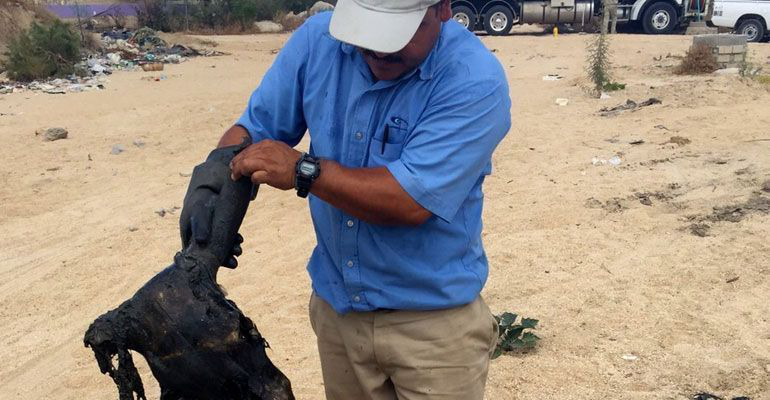 En Los Cabos, los adultos mayores tienen 50% de descuento en pago de impuestos 