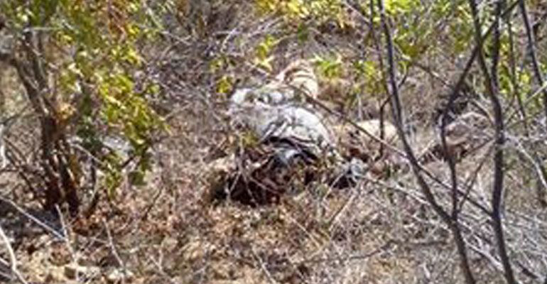 ¡Fue asesinado!; cuerpo encontrado en San Antonio fue liquidado de un disparo en la cabeza