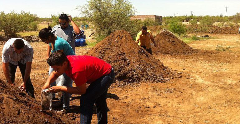 Desarrollan en la UABCS fertilizante orgánico a base de residuos marinos