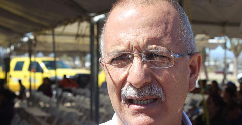 Más de mil ballenatos de ballena gris nacieron en BCS: CONANP