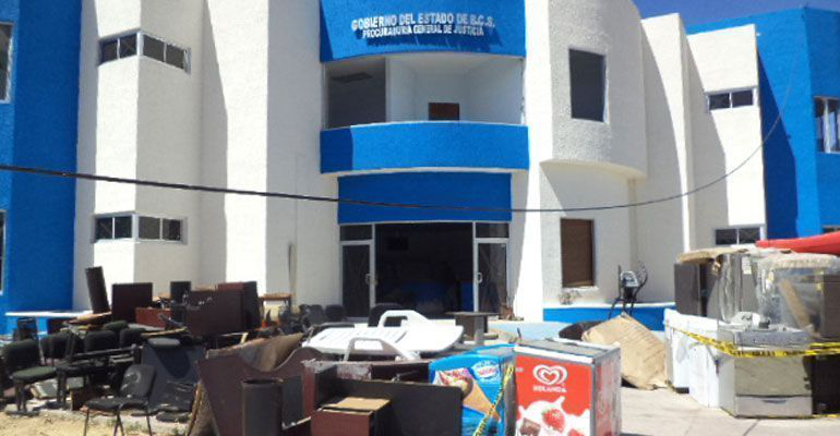 La otra cara del lobo asesino de Los Cabos y su hermano el lince