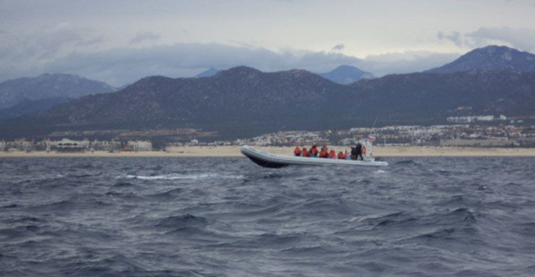 Dos lesionados y un fallecido resultado de coalición entre ballena y embarcación en CSL