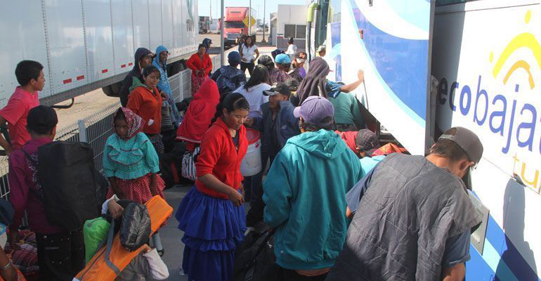 Coordinó el Gobierno del estado el regreso de los 90 jornaleros a su natal Chihuahua