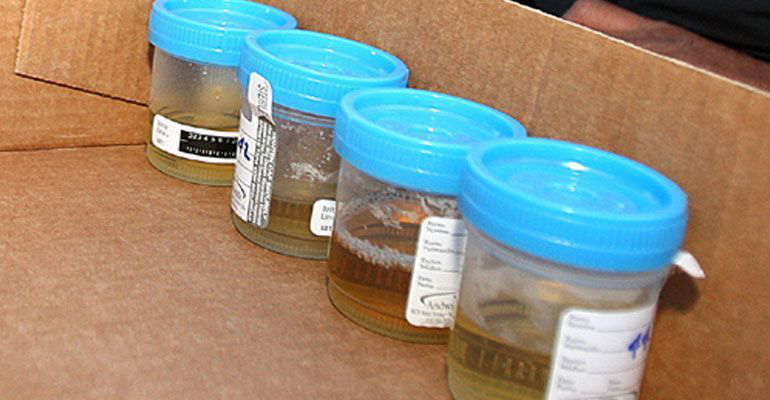 Continúan maestros el paro indefinido de labores en Los Cabos