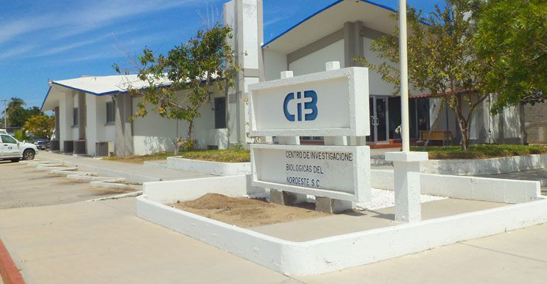 ¡Protestarán por los baches! Exhortan a ciudadanos a participar en el Primer Torneo de Golfito Urbano