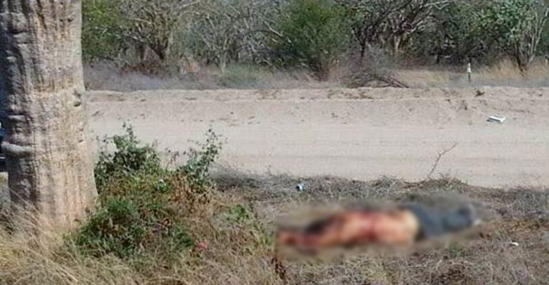 DE NUEVA CUENTA….Domingo de ejecuciones y de osamentas en La Paz