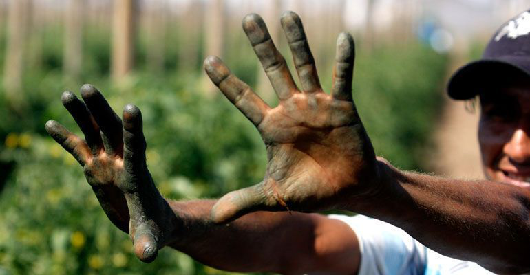 Proponen en el congreso alternativas para proteger los derechos de los jornaleros