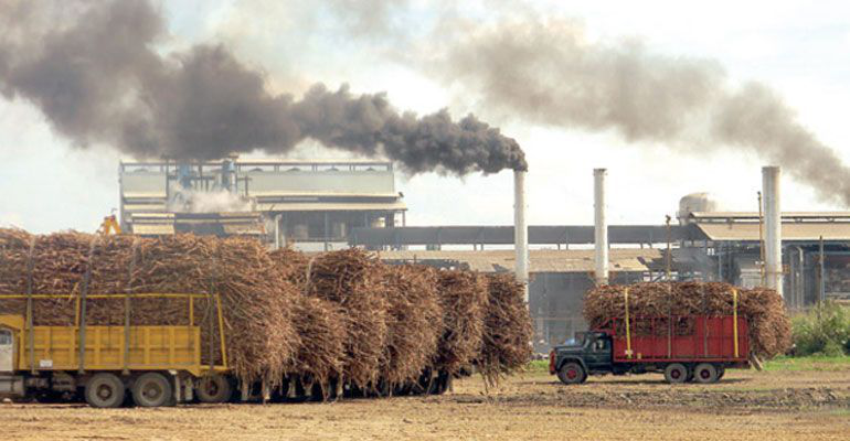 Piden al SAE informar sobre pagos por Ingenios Azucareros