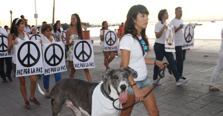 ¡Basta de promesas! Queremos saber quiénes dirigirán las instancias de seguridad si ganan en las elecciones: Ciudadanos