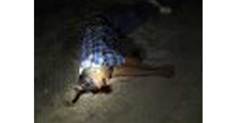 ¡Lo mataron de un disparo en la cara!