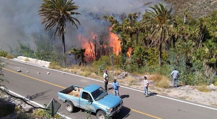 Cerca de medio centenar de viviendas fueron “devoradas” por el fuego en los Comondú´s