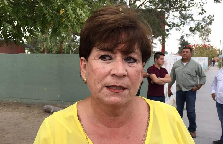 Sacaremos del PRD a quienes declinaron por otros partidos: Rosa Delia Cota Montaño