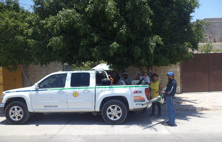Ante brote de dengue la SSA despliega brigadas de fumigación y abate