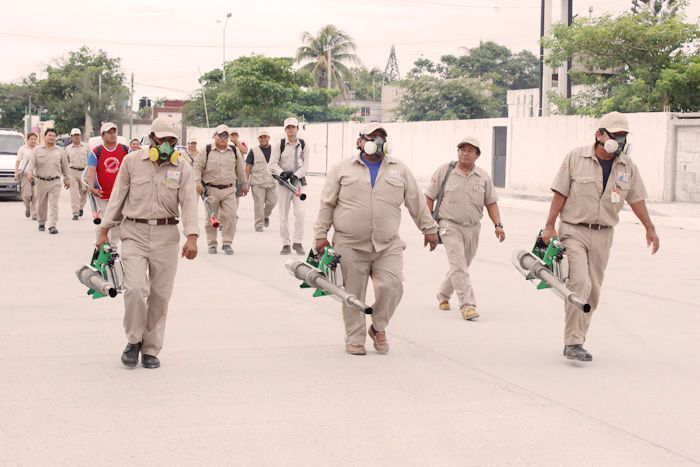 Refuerzan acciones contra chikungunya en Campeche