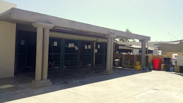 Más de una semana y no ha pasado el camión de la basura, denuncian vecinos de Costa Dorada