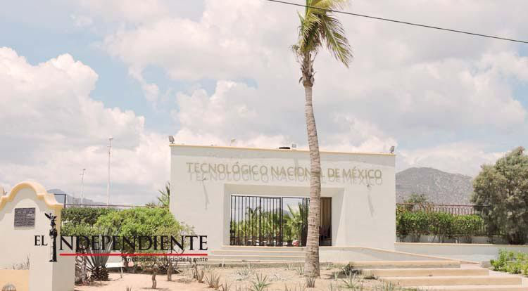 ITES Los Cabos única institución educativa registrada como entidad de Verificación y Certificación de Competencias Laborales