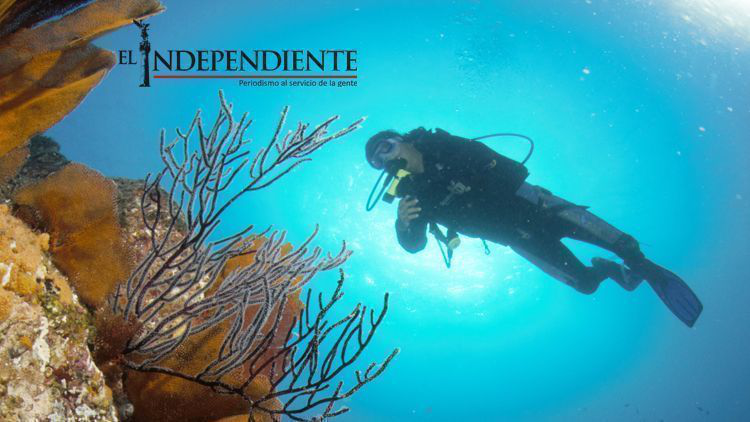 Se llevará a cabo el Simposio “20 años de investigación y manejo para la conservación del Parque Nacional Cabo Pulmo”