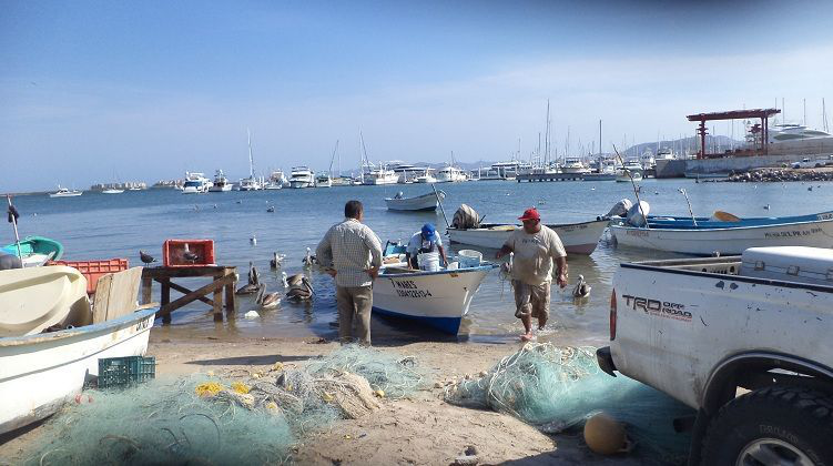 Falta presencia  de autoridades de la STPS en el norte del estado: Cooperativas Pesqueras