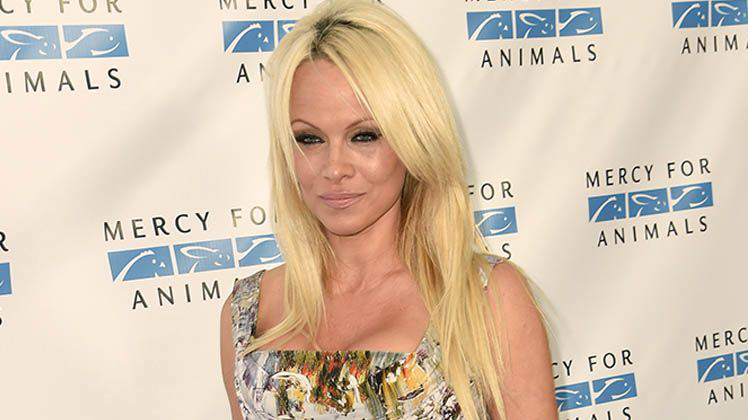 Pamela Anderson cobra 7 mil 500 dólares por baile