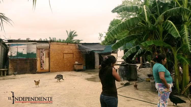 Familias vulnerables resisten la lluvia entre goteras y lodo
