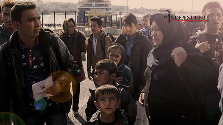 Emotivas historias de refugiados que huyen con sus mascotas