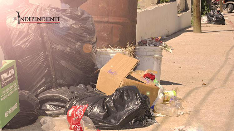 El poblado de La Playa lleva dos semanas sin recolección de basura
